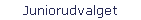 Juniorudvalget